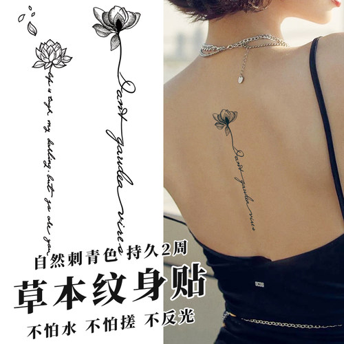 熊猫新派果汁纹身英文贴纸后背