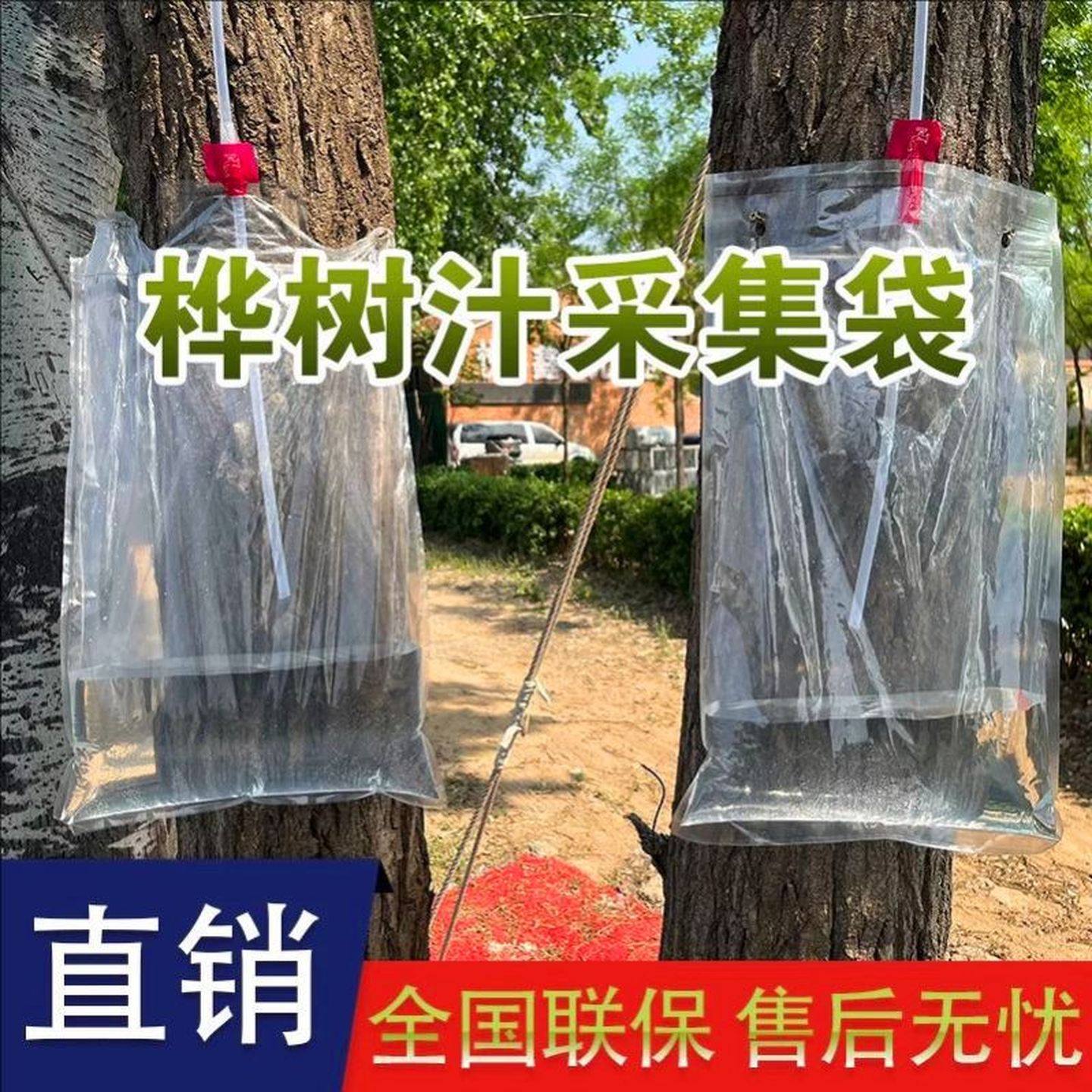 桦树汁采集袋白桦树汁枫树袋透明袋现货树汁袋四边封PE/PA采集管,鲜花速递/花卉仿真/绿植园艺,洒水/浇水壶,淘宝优惠券,粉丝福利购,淘宝优惠卷