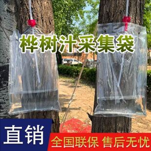 桦树汁采集袋白桦树汁枫树袋透明袋现货树汁袋四边封PE/PA采集管