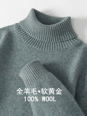 2025新款冬季加厚保暖100%纯羊毛衫男士高领套头毛衣针织打底衫