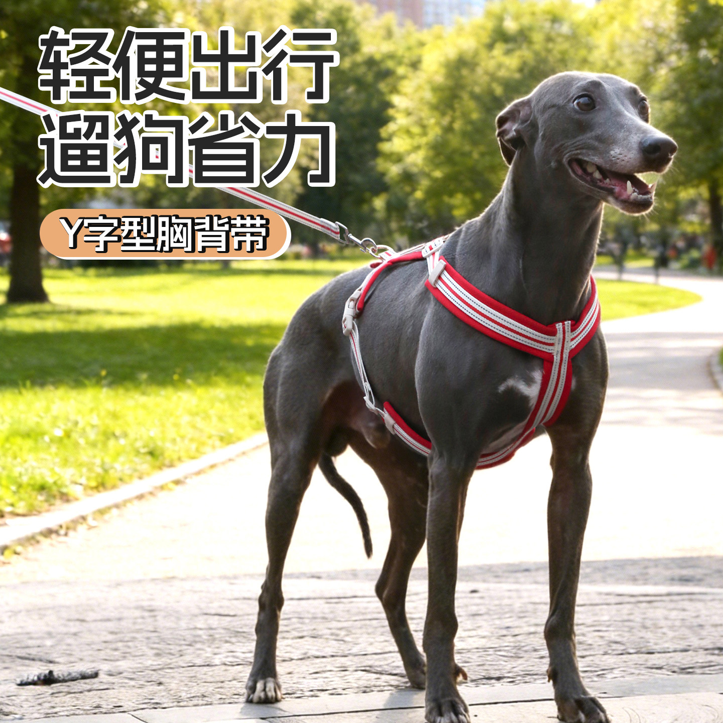 Y型反光透气护颈减压胸背带图片