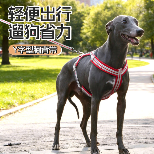 Y型反光透气护颈减压胸背带
