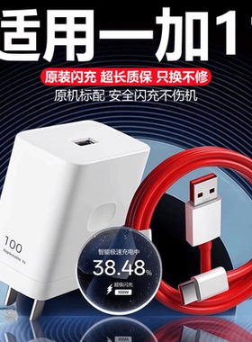 适用一加11充电器头线oneplus11超级闪充原头装正品数据线1+11快充插头