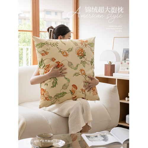 溜达客厅卧室可拆洗靠枕抱枕