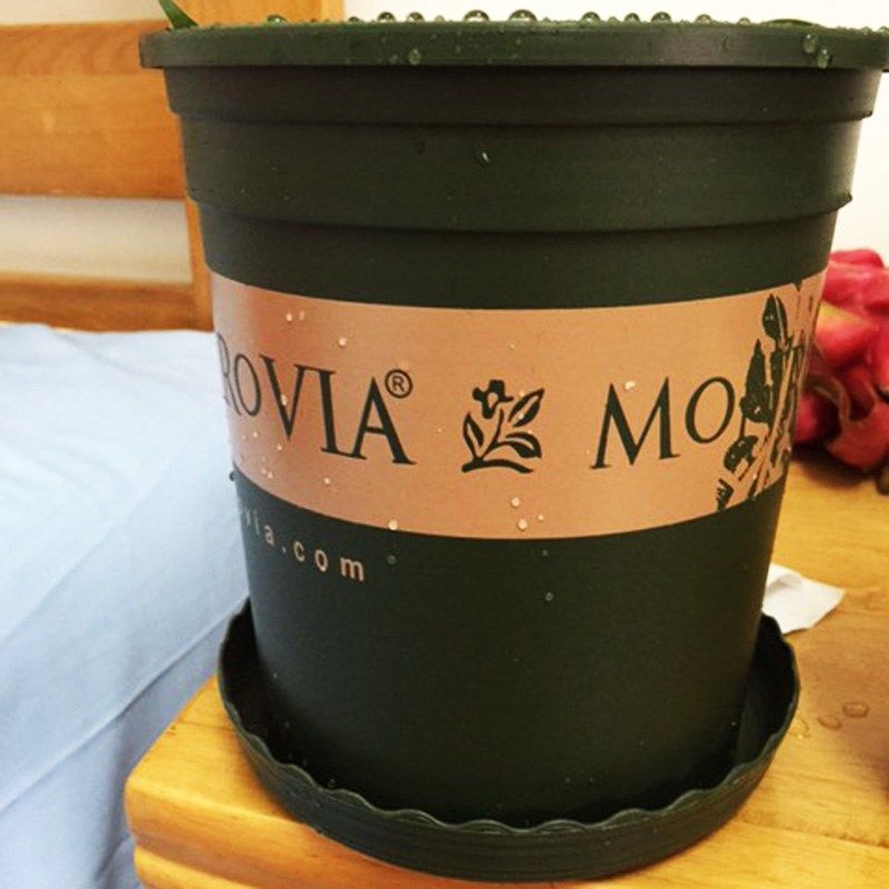 网友分享在meiguo.com的图片