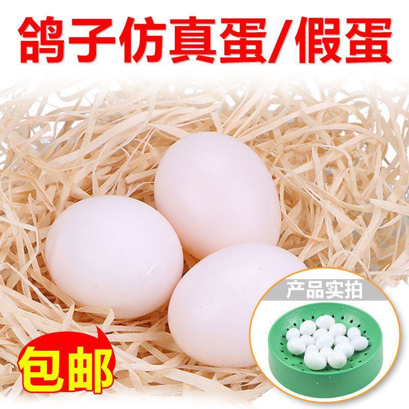 鸽具赛鸽子用品假鸽蛋仿真假蛋信鸽用品注水实心塑料假鸽子蛋批发
