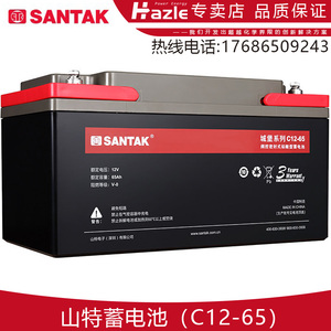 山特原装C12-65免维护系统铅酸蓄电池12V/65AH城堡系列专用包邮