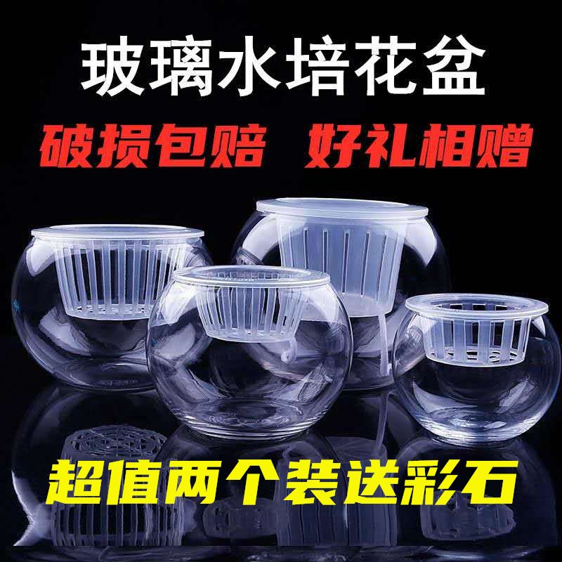 玻璃圆球花盆水培绿萝植物透明大号玻璃花瓶桌面水养鱼缸器皿容器