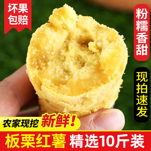 新鲜板栗红薯农家现挖鸡蛋黄5斤
