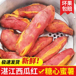 红薯新鲜沙地糖心蜜薯超甜正宗湛江西瓜红地瓜农家自种现挖包邮