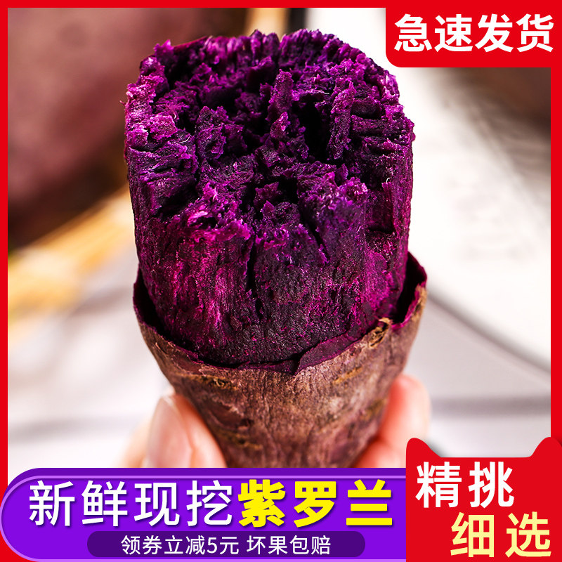 广东沙地紫罗兰紫薯新鲜现挖番薯粉糯香甜地瓜小个红薯带箱10斤