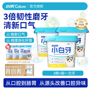 小壳小白牙洁齿棒冻干PRO猫草棒洁牙磨牙宠物用品口臭营养猫零食