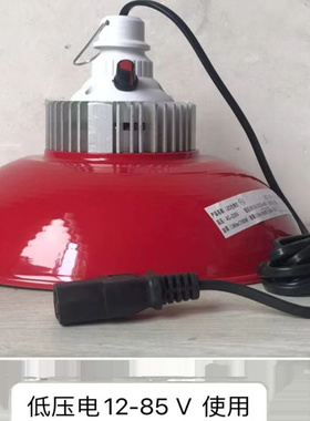 水果灯可调色低压12vLED生鲜灯48V60V电瓶车变色水果摊位照明灯泡