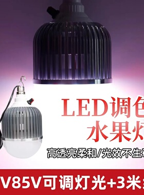 2024新款灯12v电瓶专用可调色led生鲜灯48v电动车变色灯水果G1