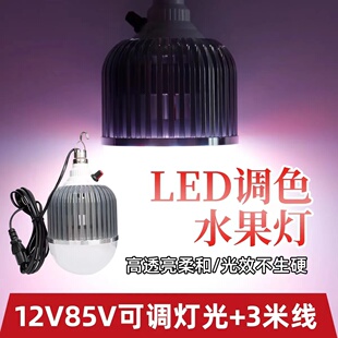 灯12v电瓶专用可调色led生鲜灯48v电动车变色灯水果G1 2024新款