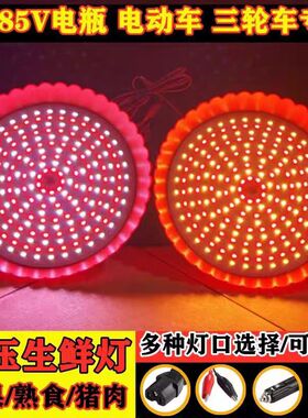 12V红色灯LED可调色水果灯夜市灯电动三轮车48V72v生鲜灯地摊灯