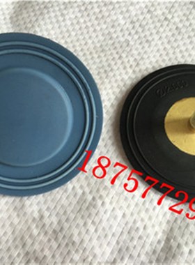 计量泵隔膜片LEK7SB  LsPH7MB-KTC3加药泵LPH7MB-PTC3膜片