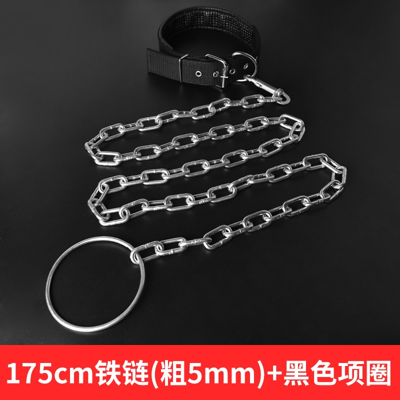 宠物汪星人铁链猫狗牵引绳遛狗绳防咬断狗链子小型中型大型犬项圈