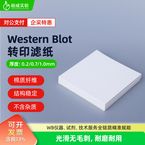 Western blot转印滤纸wb湿转 转膜滤纸适配伯乐转印槽Northern/So