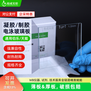 伯乐Bio-Rad WesternBlot电泳玻璃板垂直电泳短厚玻璃板 长玻璃板