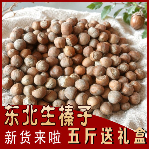 五斤东北山榛子辽宁铁岭农家特产