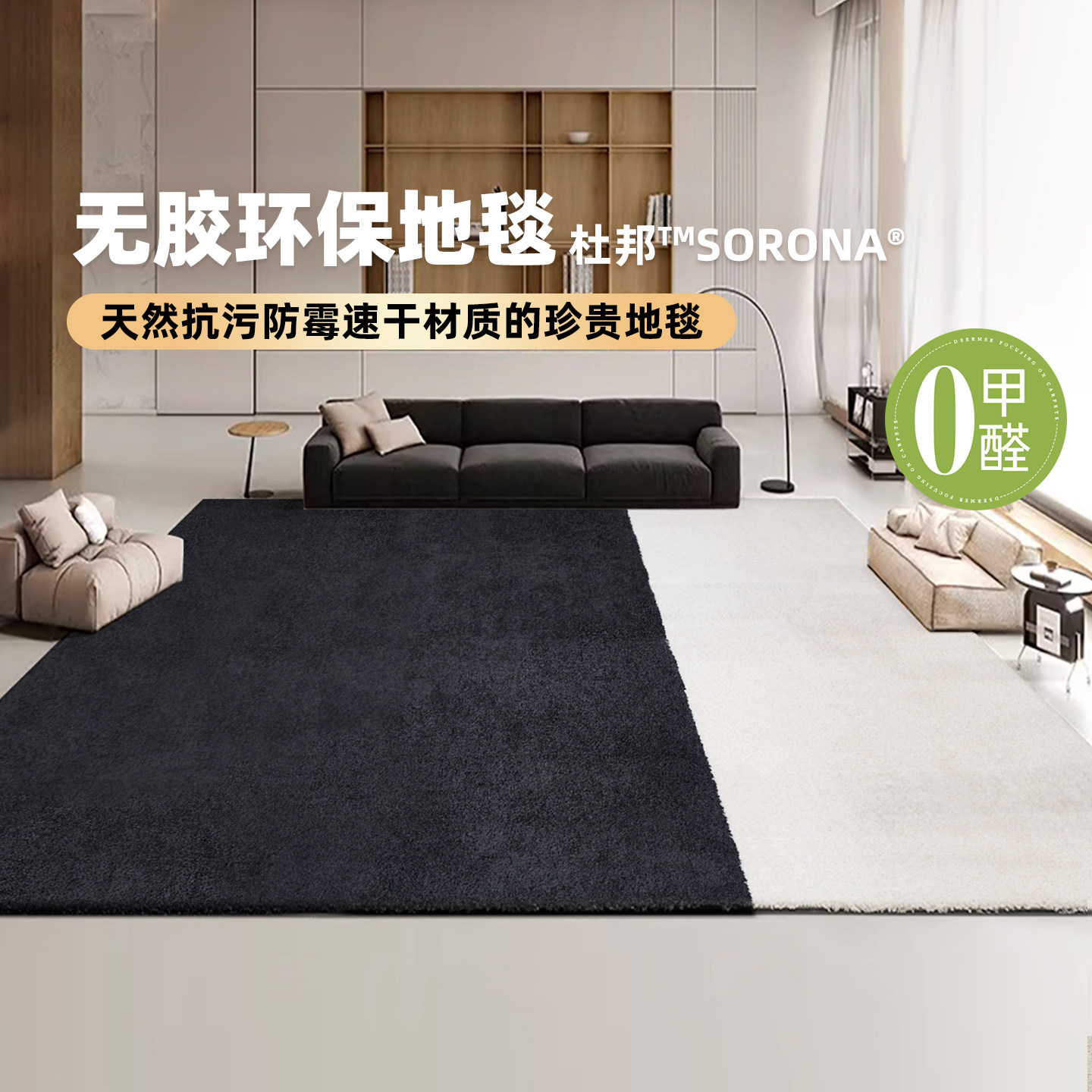 地毯客厅玉米纤维抗菌抗污卧室房间床边休闲区可冲洗无胶地毯满铺
