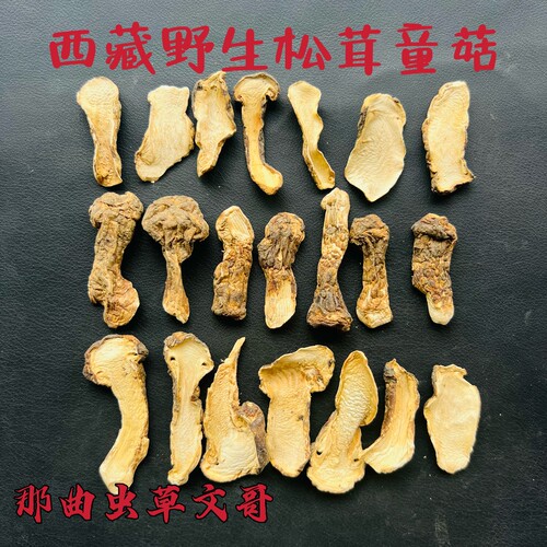 西藏林芝野生松茸干片 海拔3500M+ 鲜度十足 煲汤/炖肉/煮粥/蒸蛋