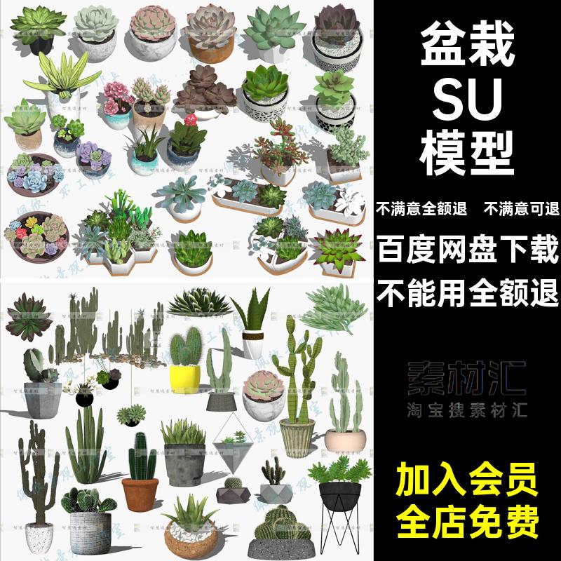 吊兰SU模型肉su盆室内外新中式组合现代绿植多日式植物盆栽组合
