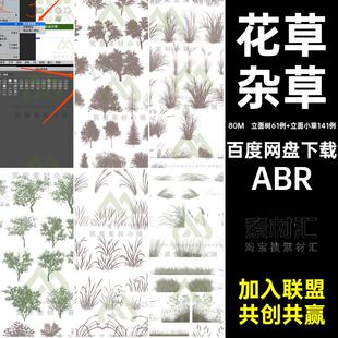 乔木笔刷素材ABR树花草立面图小草杂草景观建筑剪影植物PS前景