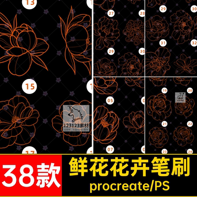 38款牡丹花花卉笔刷插画朵稿素材手绘procreate图案ps画笔鲜花