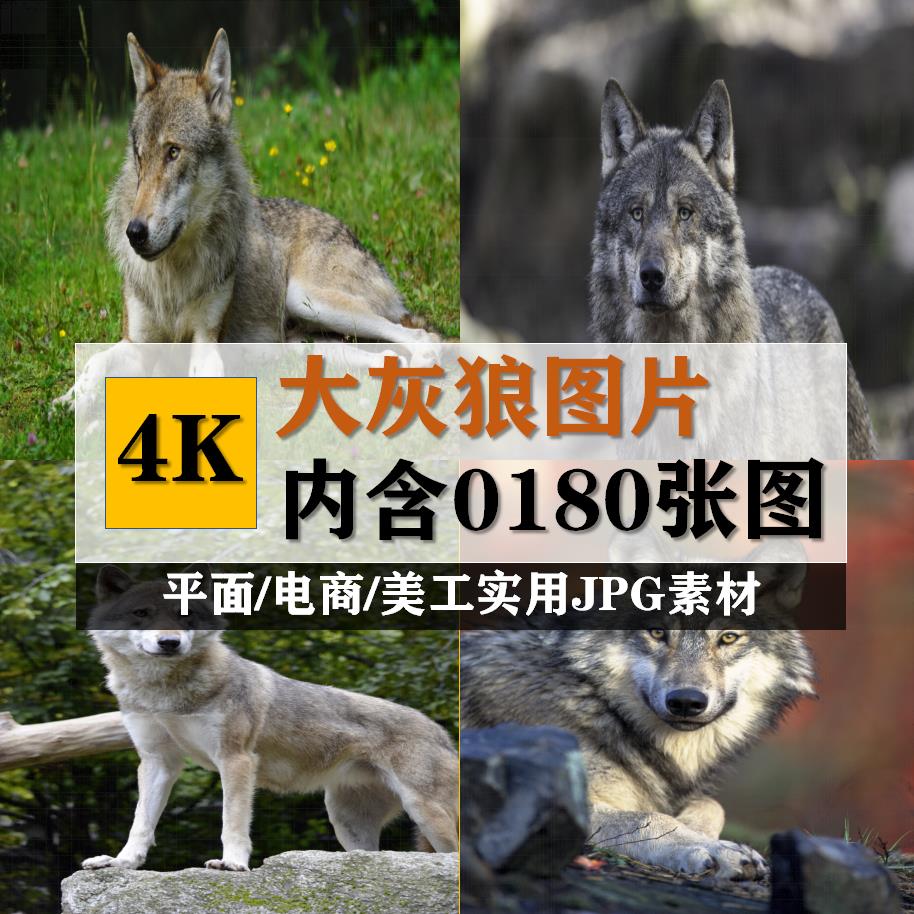 ģɽջսɽ_ģɽɽ_ɽ