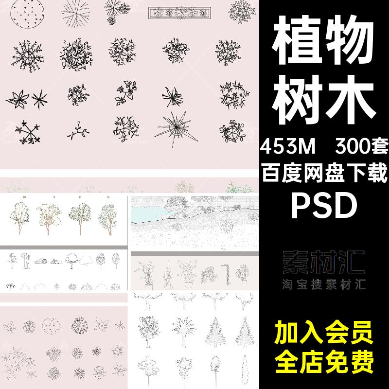 景观盆栽PSD平面稿植物风树木分层效果图PSD分层素材线乔木立面图