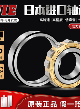 进口UIE轴承N NU NJ NUP 303 304 305 306 307 EC ECM ECJ ECP C3