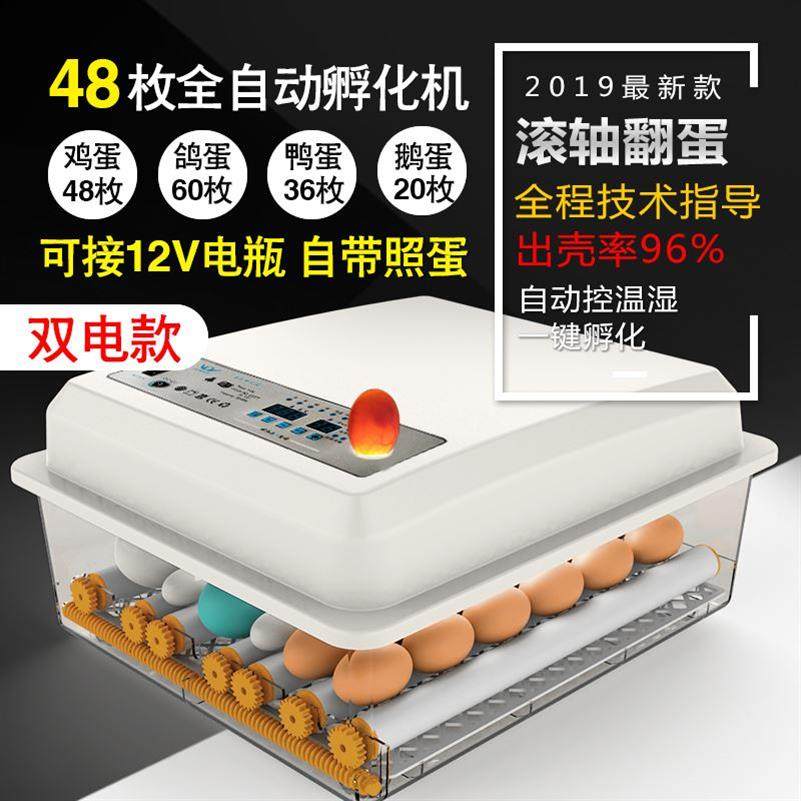 鸵鸟蛋抱鸡孵化器机器全自动小型乌龟家用小小鸡夫化器孵蛋器鹌鹑|ruв категории оборудование/инструменты, приборы, электрический инструмент - от Buy2taobao.com для оказания профессиональной услуги покупки агента Taobao