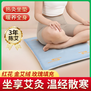 艾灸坐垫电加热家用坐灸蒲团红花艾绒真丝凉席屁垫办公发热敷臀部