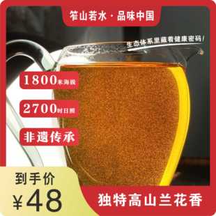 特价 攀枝花笮山若水 国胜高山毛峰一级100g蜜香红茶 袋装 伴手礼