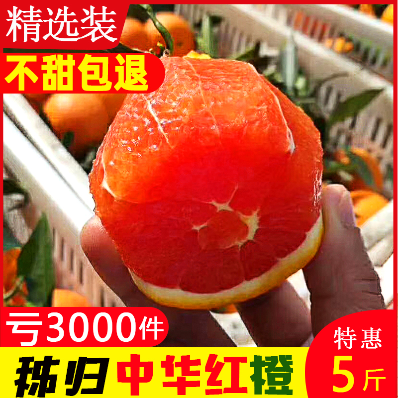秭归现摘中华红血橙10斤时令新鲜水果橙子红肉脐橙卡拉红橙雪橙5