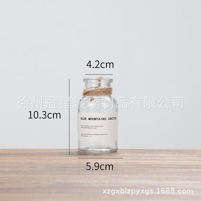 北欧ins风玻璃花瓶棕色水培鲜