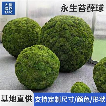 永生苔藓球创意绿植物仿真青苔球背景墙装饰白发藓大灰藓室内造景