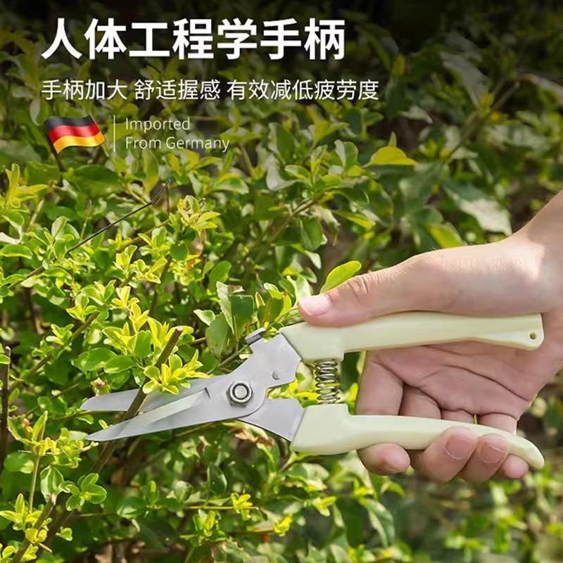 不锈钢修剪树枝剪刀采摘