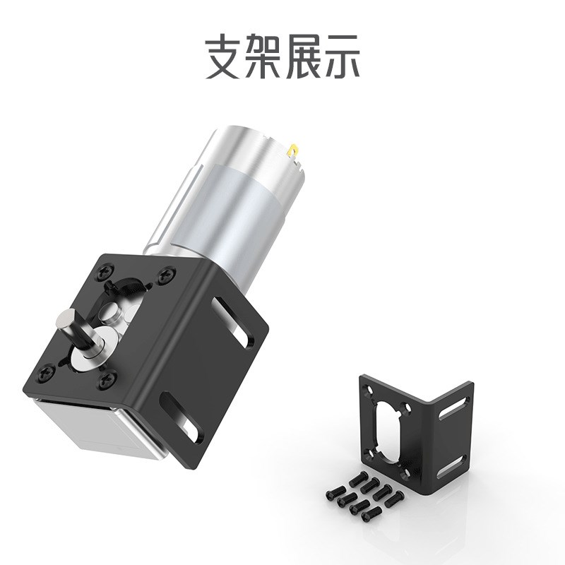 5840-555双轴蜗轮蜗杆直流减速电机12V24V低R速调速金属齿轮马达