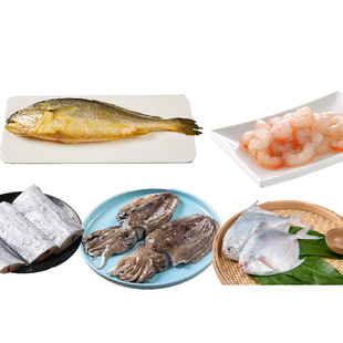 定海针套餐冷冻海鲜组合 A