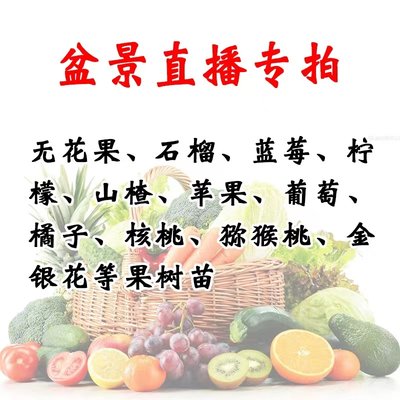 蓝莓无花果葡萄石榴车厘子樱桃