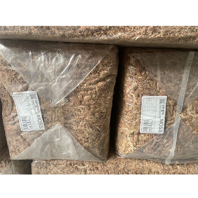 智利水苔七星苔藓蝴蝶兰花多肉土食虫植物捕蝇草龟蛇冬眠垫材5kg