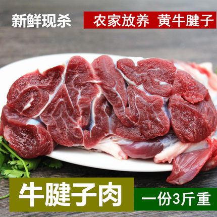 牛腱子肉 新鲜牛肉黄牛肉牛腿肉带筋牛肉牛大小腱子花腱放养3斤重