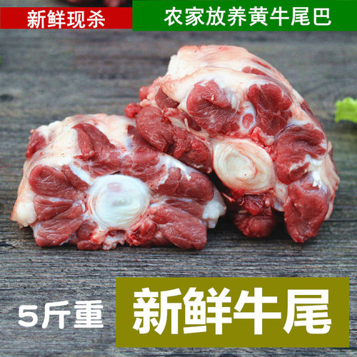 新鲜牛尾黄牛尾巴放养