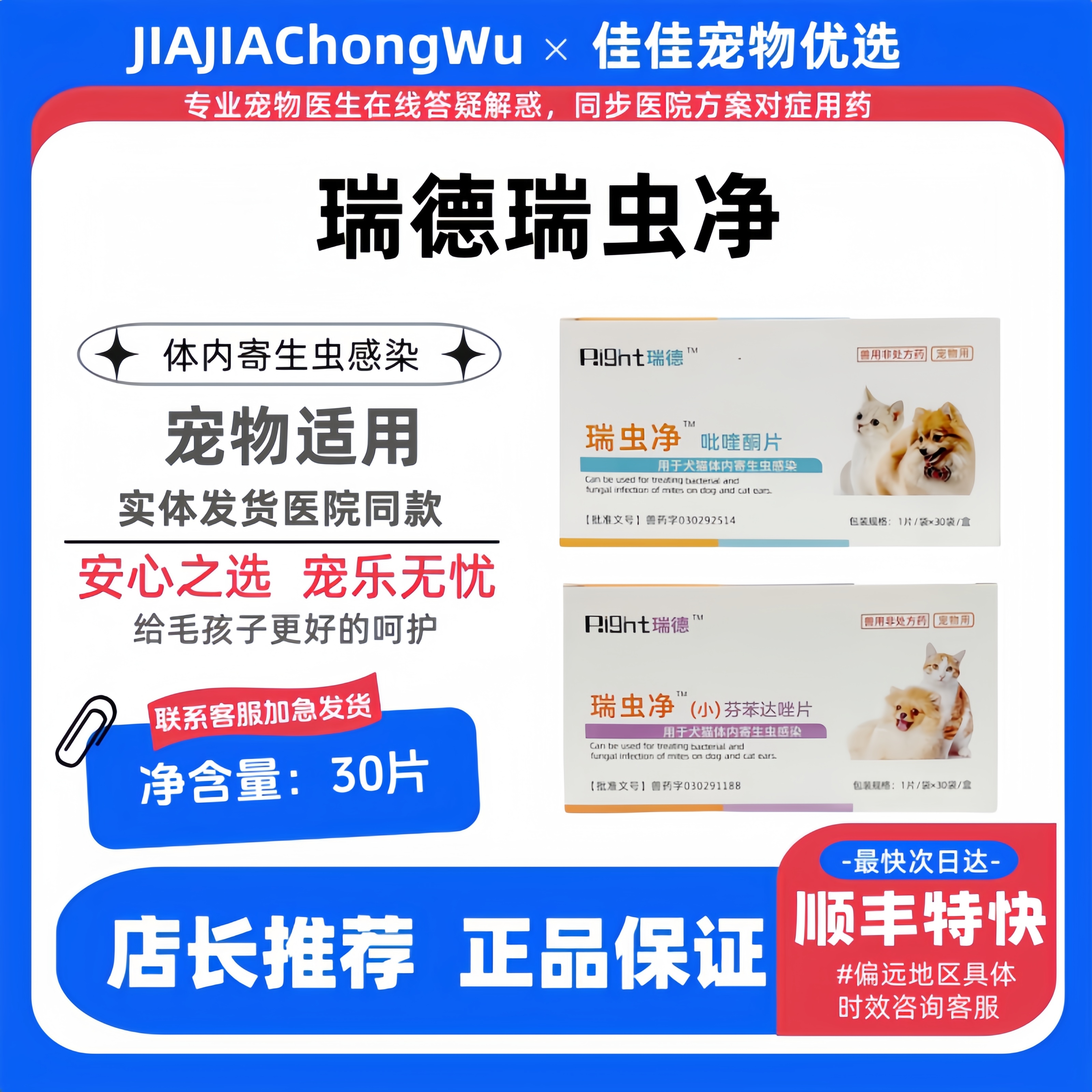 瑞虫净虫卵寄生虫体内