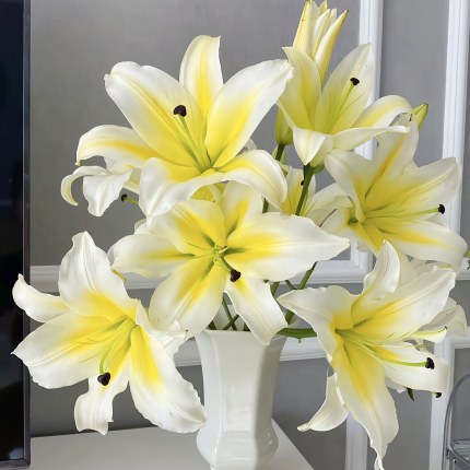 【云舍精选】黄天霸单瓣百合 任意组合2单或以上冷链包邮鲜切花