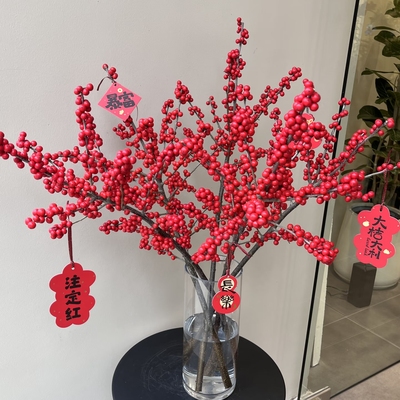 【云南高原北美冬青】50cm冬青5支  任意组合两单以上包邮