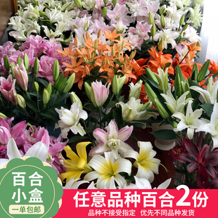 不指定快递不参与拼单 包邮 仙女体验盲盒随机2份百合盲盒 单件